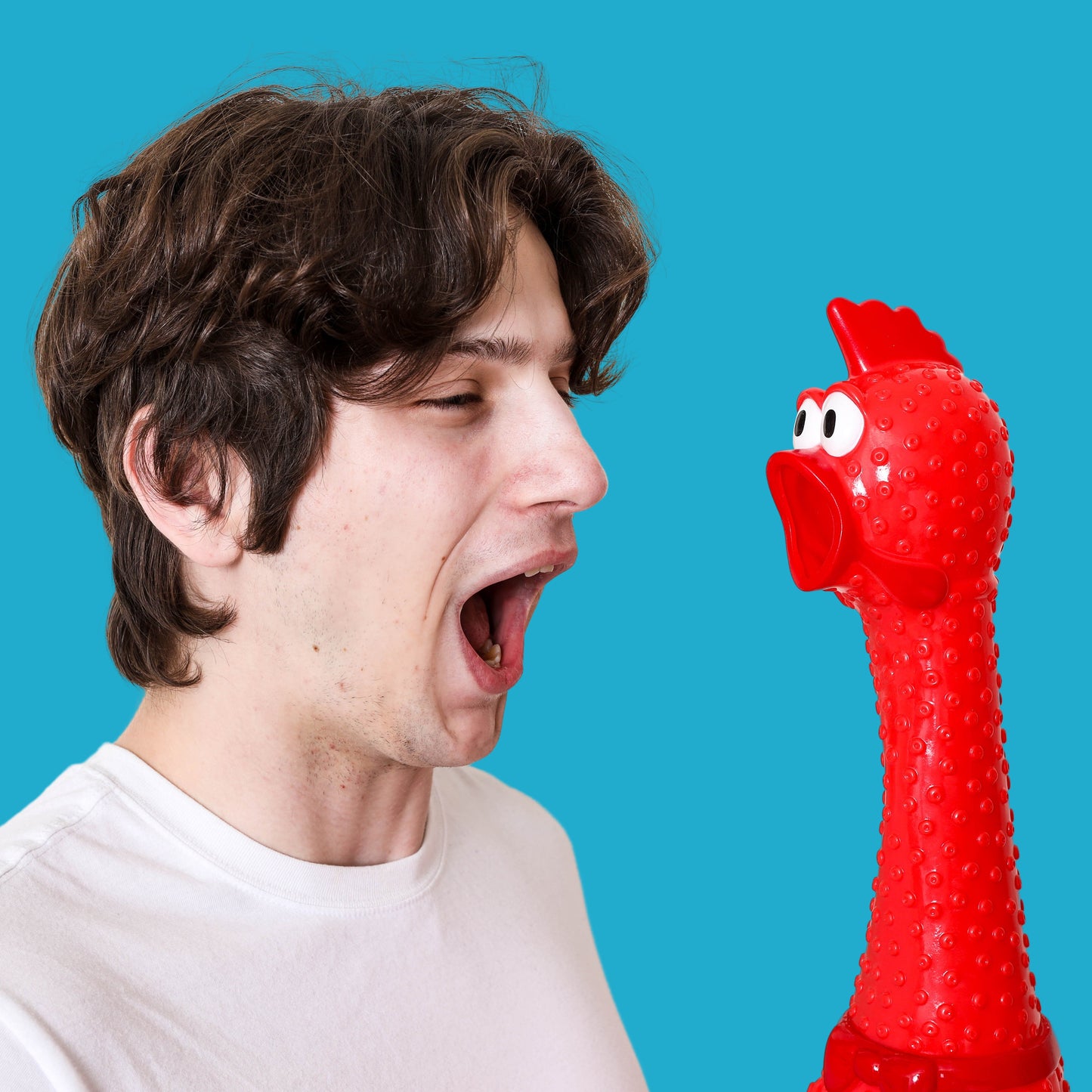 Crazy Screaming Chicken - Giant