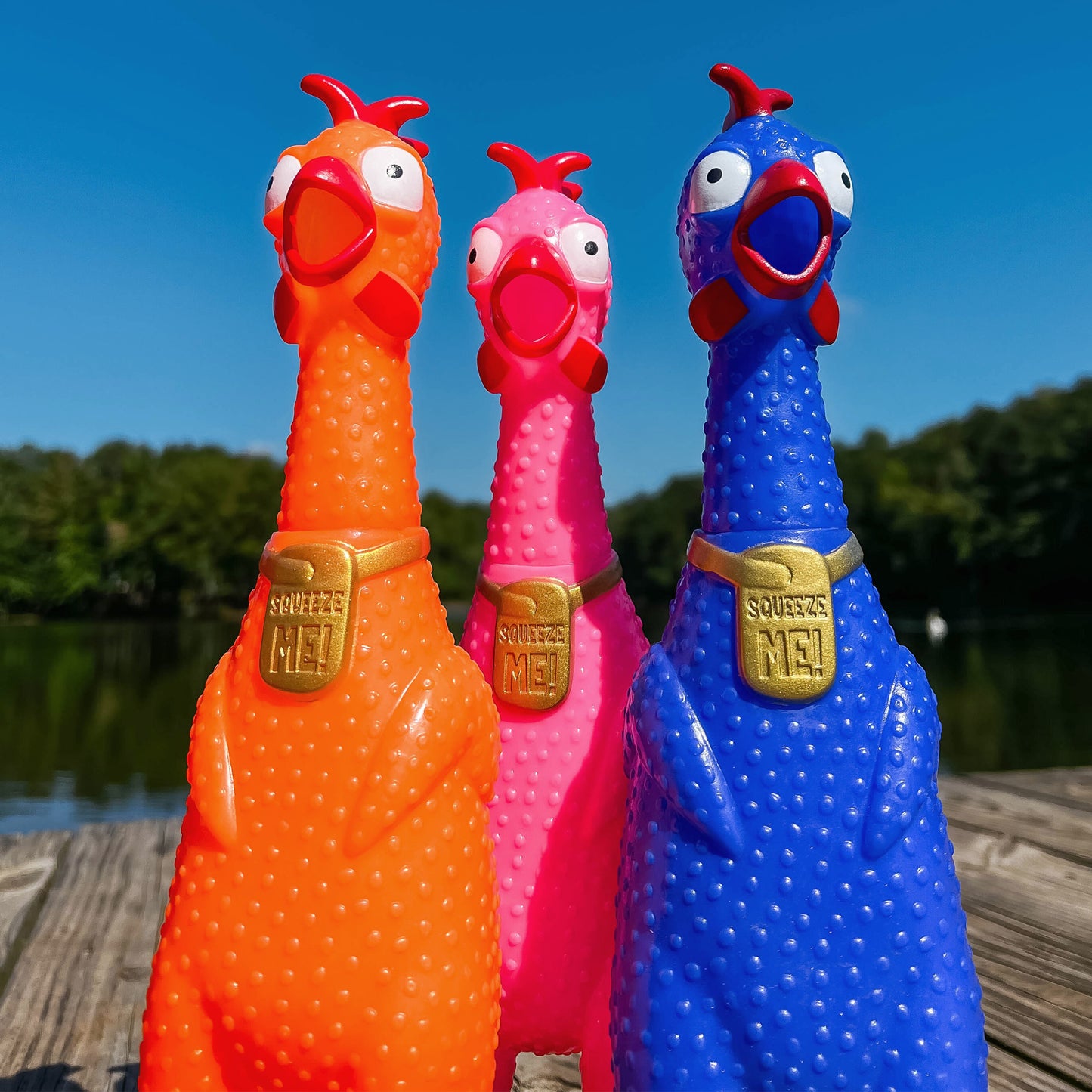 2 Pack - Squeeze Me Chicken (Medium/Random Color)