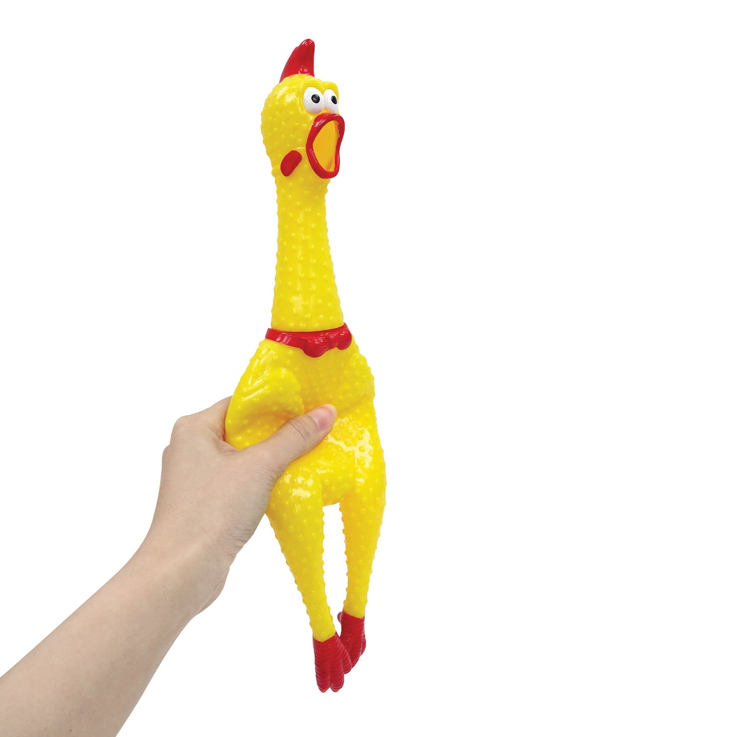 Crazy Screaming Chicken - Medium